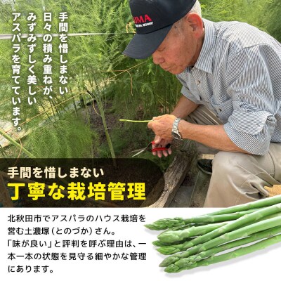 野菜 北秋田市産 アスパラ 約2kg M～Lのサイズミックス|tndn-010201