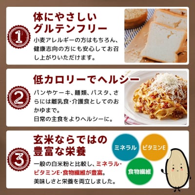 玄米粉 玄米からつくられた米粉 秋田さらり玄米粉 500g|grmy-010501