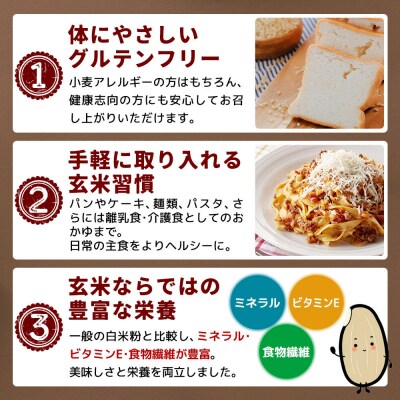 玄米粉 玄米からつくられた米粉 秋田さらり玄米粉 500g|grmy-010501