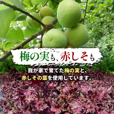  梅漬け(赤しそ入り) 200×4個 自家製 秋田県 北秋田阿仁産|jang-010401