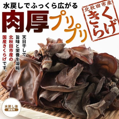 国産 乾燥きくらげ 50g 天日干し 秋田県北秋田市産|grmy-020101