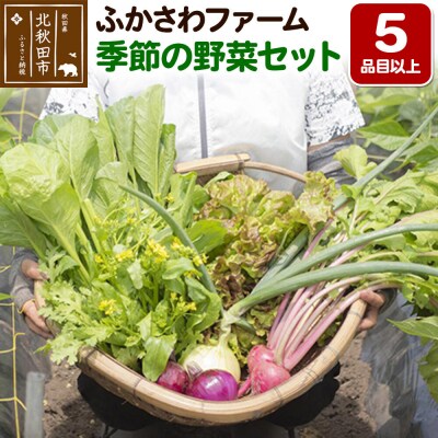 ふかさわファーム 季節の野菜セット|fksf-060101