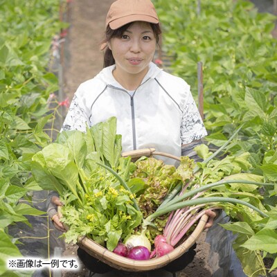 ふかさわファーム 季節の野菜セット|fksf-060101