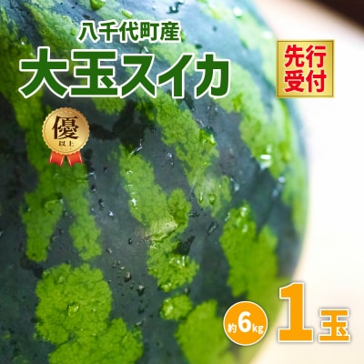 【先行受付6月下旬以降発送】八千代町産 大玉スイカ 1箱(1玉入)  [AX017ya]