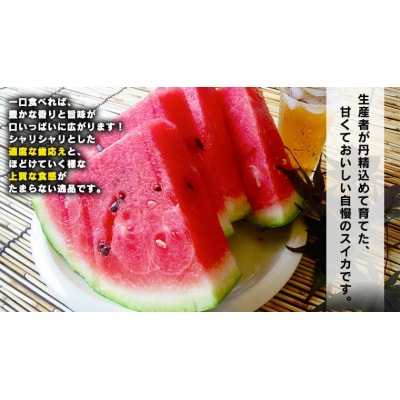 【先行受付6月下旬以降発送】八千代町産 大玉スイカ 1箱(1玉入)  [AX017ya]
