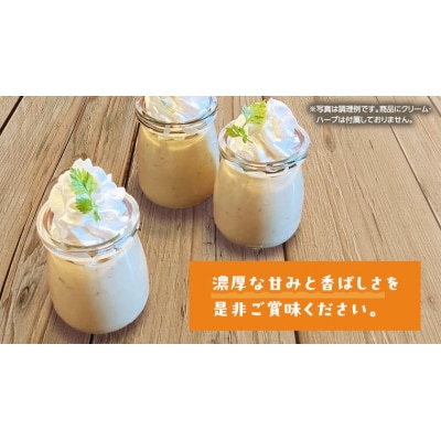 【 お歳暮熨斗付 】 八千代町産 さつまいも 使用 濃厚 焼き芋 プリン [AU081yas]
