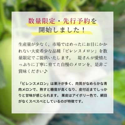 【先行受付 5月下旬以降発送 】ビレンス メロン 約2kg 1箱 2玉入 産地直送[AV007ya]