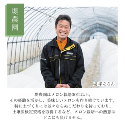 【先行受付 5月下旬以降発送 】ビレンス メロン 約2kg 1箱 2玉入 産地直送[AV007ya]