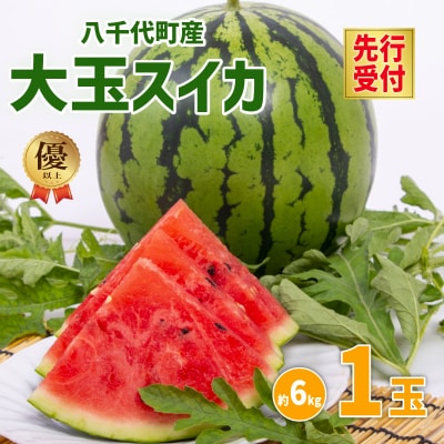 【先行受付6月下旬以降発送】八千代町産 大玉スイカ  祭りばやし 1箱(2玉入) [AX024ya]