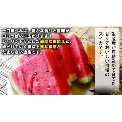 【先行受付6月下旬以降発送】八千代町産 大玉スイカ  祭りばやし 1箱(2玉入) [AX024ya]