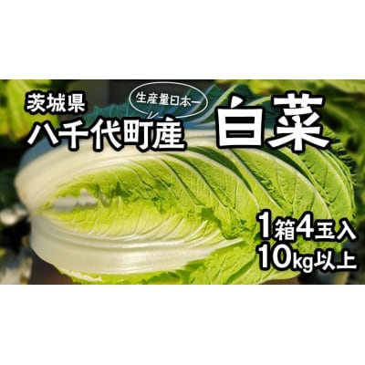 【2025年11月上旬以降発送】八千代町産 白菜 1箱 10kg 以上 農家直送 [AV009ya]