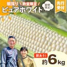 【先行受付2026年6月下旬発送予定】訳あり 朝採りピュアホワイト 約6kg [AX056ya]