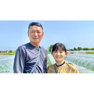 【令和7年産】【先行受付6月下旬以降発送】訳あり 朝採りピュアホワイト 約6kg [AX056ya]