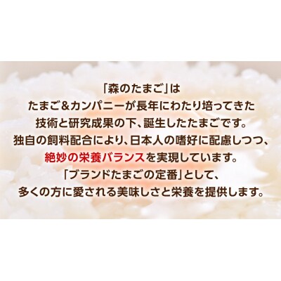 森のたまご 白 6個入×5パック(割れ補償 1パック サービス付)卵 [DA001ya]