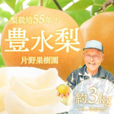 【2026年08月下旬以降発送 】 片野果樹園 豊水梨 約3kg 豊水 産地直送 [AD017ya]