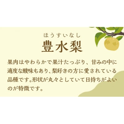 【2026年08月下旬以降発送 】 片野果樹園 豊水梨 約3kg 豊水 産地直送 [AD017ya]