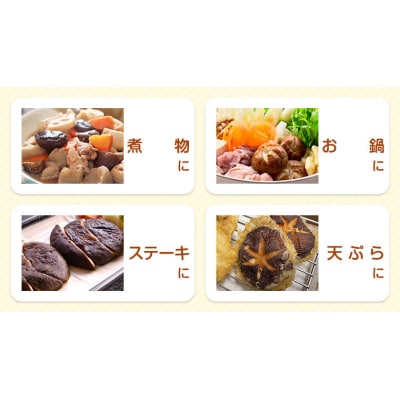 八千代町産 生 しいたけ 約500g 椎茸 生椎茸 シイタケ きのこ キノコ [CW003ya]