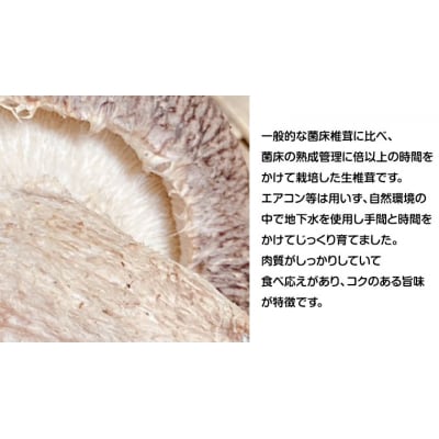 八千代町産 生 しいたけ 約500g 椎茸 生椎茸 シイタケ きのこ キノコ [CW003ya]