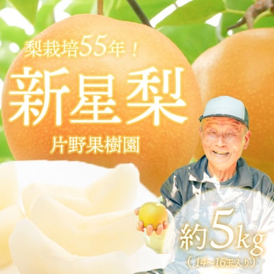 【2026年09月上旬以降発送】 片野果樹園 新星梨 約5kg 新星 産地直送 [AD020ya]