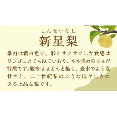 【2026年09月上旬以降発送】 片野果樹園 新星梨 約5kg 新星 産地直送 [AD020ya]