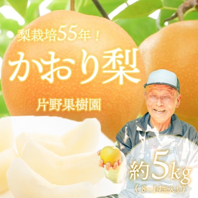 【数量・期間限定!】片野果樹園 かおり梨 約5kg 梨 産地直送 [AD021ya]