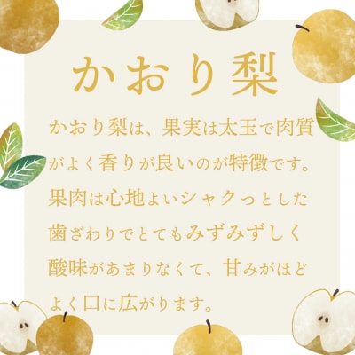 【数量・期間限定!】片野果樹園 かおり梨 約5kg 梨 産地直送 [AD021ya]