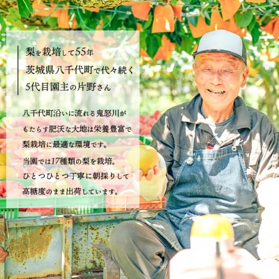 【数量・期間限定!】片野果樹園 かおり梨 約5kg 梨 産地直送 [AD021ya]
