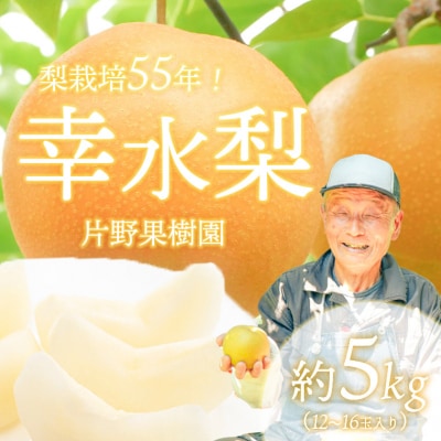 【2026年08月上旬以降発送】 片野果樹園 幸水梨 約5kg 幸水 産地直送 [AD016ya]