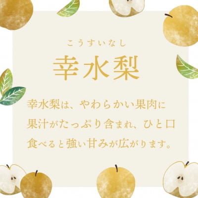 【2026年08月上旬以降発送】 片野果樹園 幸水梨 約5kg 幸水 産地直送 [AD016ya]