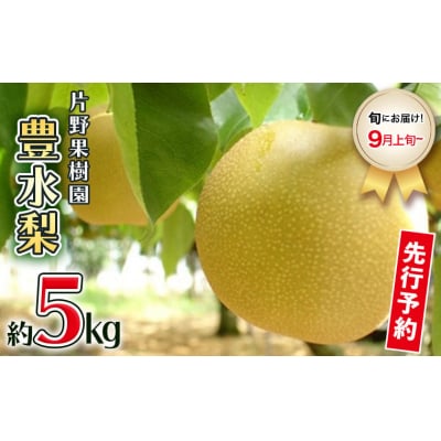 【2026年08月下旬以降発送】 片野果樹園 豊水梨 約5kg 豊水 産地直送 [AD018ya]