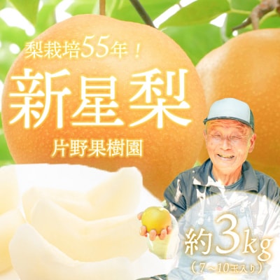 【2026年09月上旬以降発送】 片野果樹園 新星梨 約3kg 新星 産地直送 [AD019ya]