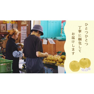 【 2026年10月上旬以降発送 】 片野果樹園 王秋梨 約5kg 王秋 産地直送[AD025ya]