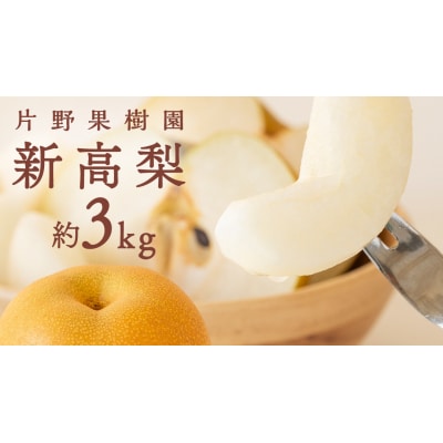 【 2025年10月上旬以降発送 】 片野果樹園 新高梨 約3kg 新高 産地直送[AD022ya]
