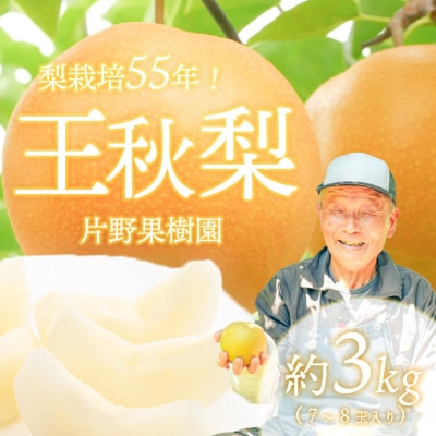 【 2026年10月上旬以降発送 】 片野果樹園 王秋梨 約3kg 王秋 産地直送[AD024ya]