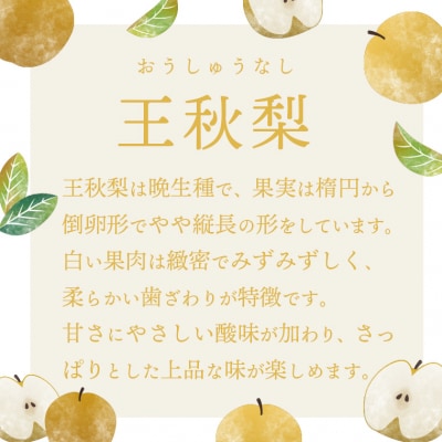 【 2026年10月上旬以降発送 】 片野果樹園 王秋梨 約3kg 王秋 産地直送[AD024ya]