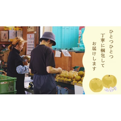 【 2025年10月中旬以降発送 】 片野果樹園 王秋梨 約3kg 王秋 産地直送[AD024ya]