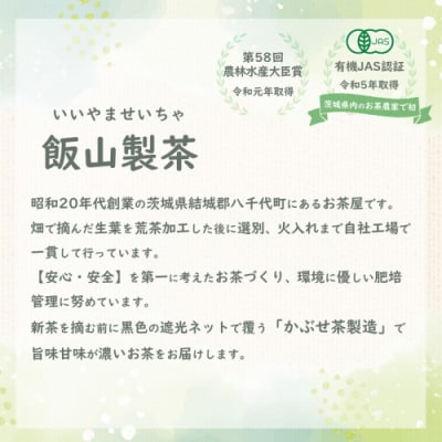 < お歳暮 熨斗付き >《簡単!便利!》急須のいらない粉末 緑茶 粉末緑茶 [AE020ya]