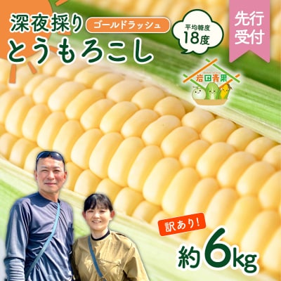 【先行受付】6月中旬以降発送【訳あり】深夜採り とうもろこし ゴールドラッシュ 約6kg 数量限定