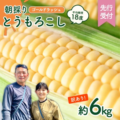 【先行受付】6月中旬以降発送【訳あり】朝採り とうもろこし ゴールドラッシュ 約6kg 数量限定