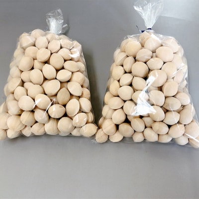 【先行受付】2026年10月上旬以降発送 銀杏 ぎんなん 約1kg [AX025ya]