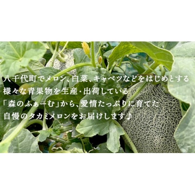【先行受付】2026年6月中旬以降発送 タカミメロン 優以上 1箱 3～5玉入 [CL002ya]
