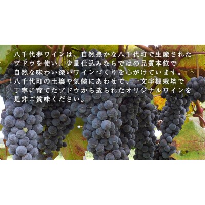 八千代夢ワインシリーズ ヤマ・ソーヴィニョン(赤)・つくば甲州 (白) 2本セット[AT008ya]