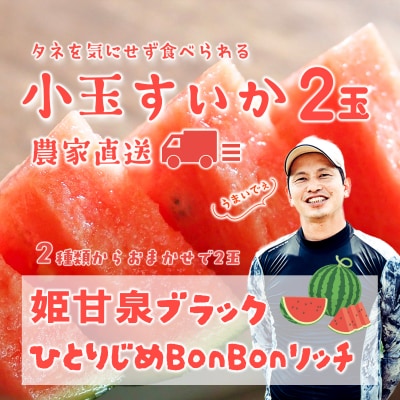 【先行受付】小玉スイカ 姫甘泉ブラック ひとりじめBonBonリッチ 1箱 2玉 [SF004ya]