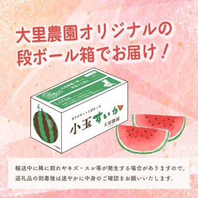 【先行受付】小玉スイカ 姫甘泉ブラック ひとりじめBonBonリッチ 1箱 2玉 [SF004ya]