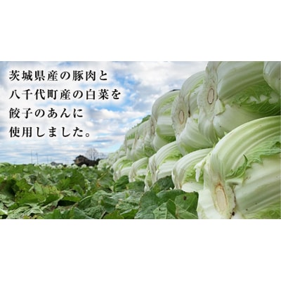 【国産素材】ローズポーク焼売 40個 & ジューシー白菜餃子 50個セット 冷凍 [BN003ya]
