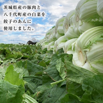 【国産素材】ローズポーク焼売 40個 & ジューシー白菜餃子 50個セット 冷凍 [BN003ya]