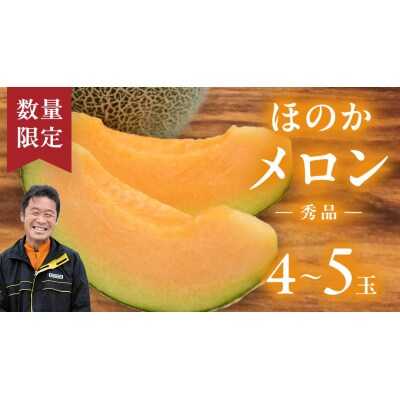【先行受付】 6月上旬以降発送 ほのか メロン 秀品 赤肉 4玉～5玉 2L 3L[AV001ya]