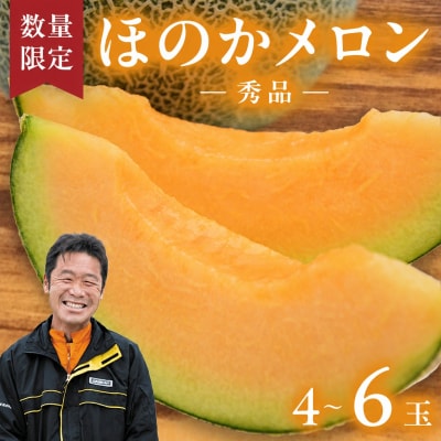 【先行受付】 2026年5月下旬以降発送 ほのか メロン 秀品 赤肉 4玉～6玉 [AV001ya]