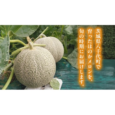 【先行受付】 2026年5月下旬以降発送 ほのか メロン 秀品 赤肉 4玉～5玉 [AV001ya]