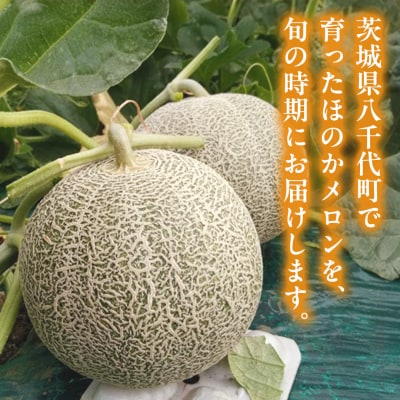 【先行受付】 2026年5月下旬以降発送 ほのか メロン 秀品 赤肉 4玉～6玉 [AV001ya]